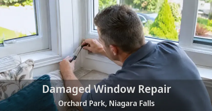 Damaged Window Repair Orchard Park, Niagara Falls - ON