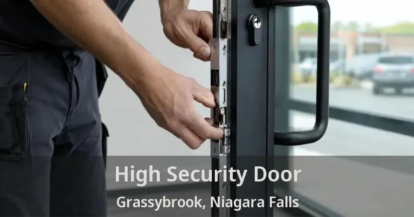 High Security Door Grassybrook, Niagara Falls - ON